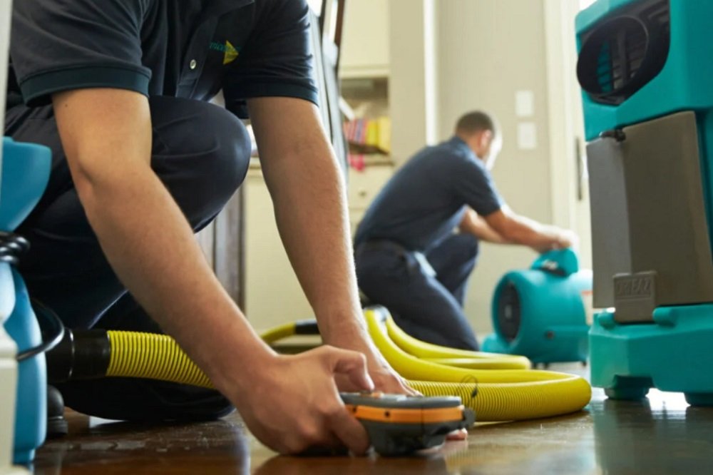 What To Expect During Water Damage Restoration in Newnan Georgia?